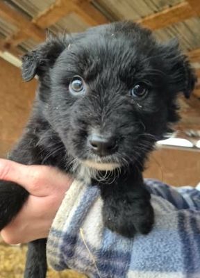 637777782 26064765776497336 8612736769770684915 n