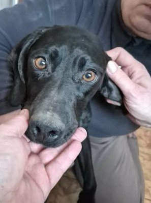 637785334 26065989273041653 1223452533073043191 n