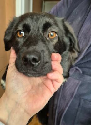 637820347 26064832993157281 6668435487044853978 n