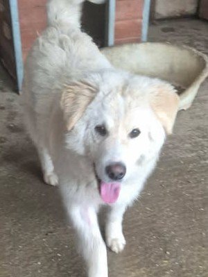 637890597 26007562648884316 7078074976730084905 n