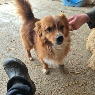 637902843 1406646453984802 4192118548409991546 n