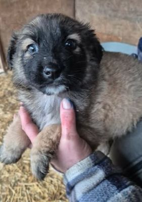 638574867 26064460936527820 4648590241420092259 n