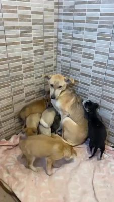 638921107 2367511390391853 1765263809421960105 n