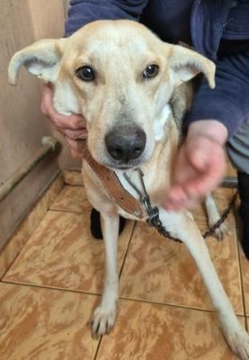 639088522 26065834316390482 5482985806959969039 n