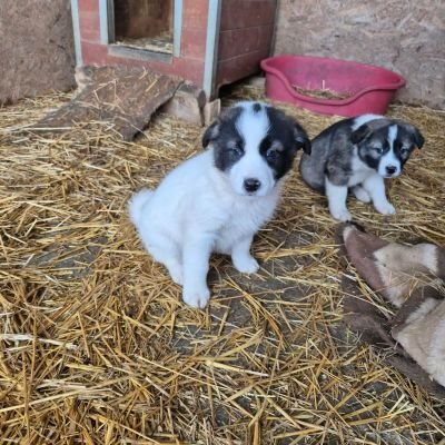 639433715 898789183082253 7609082156313004159 n