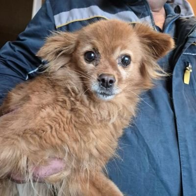 639502748 1483171156568314 6945886237149155859 n