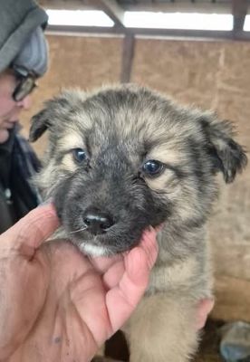 639545626 26064590069848240 6493673017398717919 n