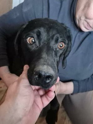 639973373 26065989213041659 3013482692712965858 n