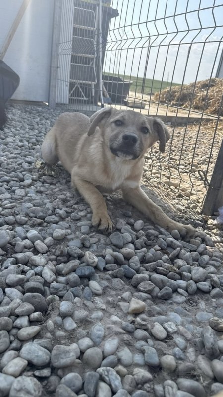 640037f9 489f 4370 940f 920e96a16cfb