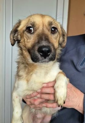 640123246 26073306308976616 3955697232368524402 n