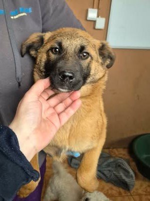 640161977 26073684988938748 7914424245672659938 n