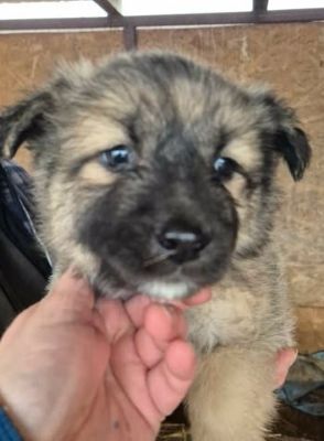 640274185 26064590156514898 1006733706037760529 n