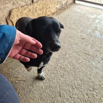 640446077 907107912049757 3638105033308935338 n