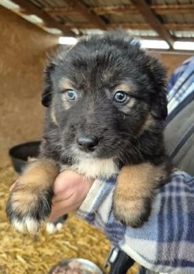 640523085 26064727893167791 7315397062442469382 n