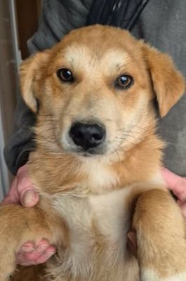 640611072 26073871928920054 4537978269760150732 n