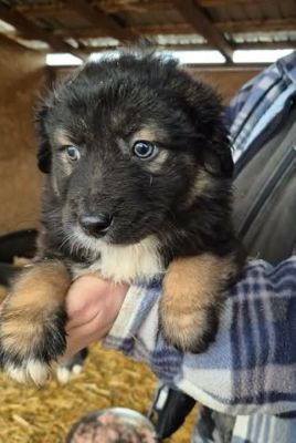 640915287 26064727896501124 7058026951257741746 n