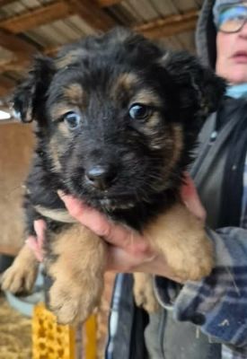 641053000 26064794486494465 2186140014286094350 n