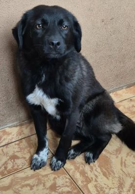 641065161 820165204440250 347913961400276220 n