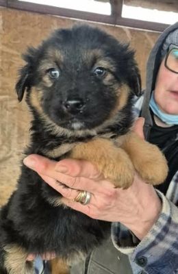 641072092 26064556486518265 6881437819854938954 n