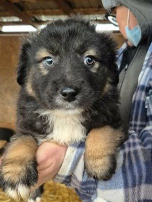 641076442 26064728026501111 1337897987206523998 n