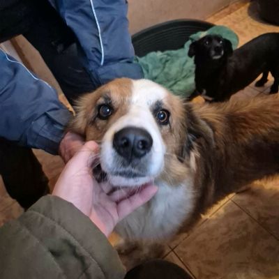 641089347 2048356472565271 3025947781405157256 n