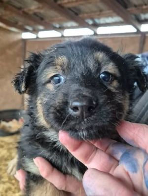 641117882 26064794256494488 5025479969288394915 n