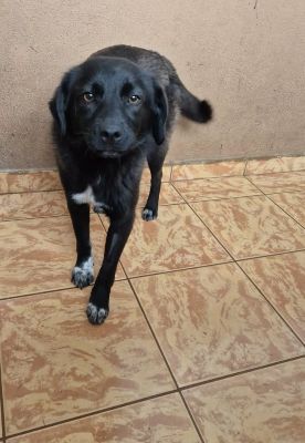 641250076 820165284440242 951841770955721938 n