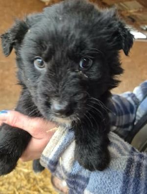 641250208 26064765779830669 7138238406882136244 n