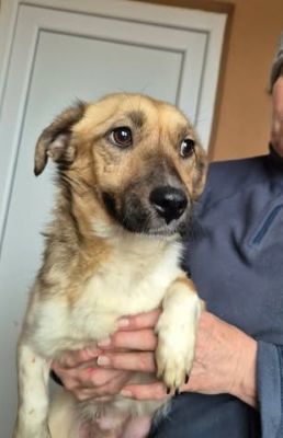 641268595 26073306312309949 588117370163229665 n