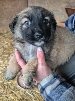 641270181 26064461169861130 9147532433675132502 n