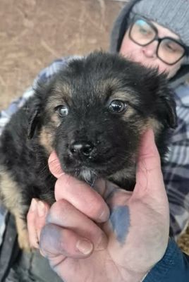 641273914 26064557169851530 3940979578651708850 n