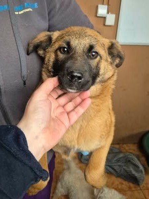 641275427 26073684975605416 3526976931794033312 n