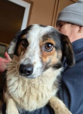 641281813 26073456315628282 8254751513580442071 n