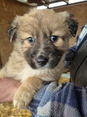 641295299 26064631459844101 6493993212359075010 n