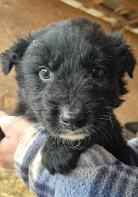 641301508 26064767779830469 8037144205445565482 n