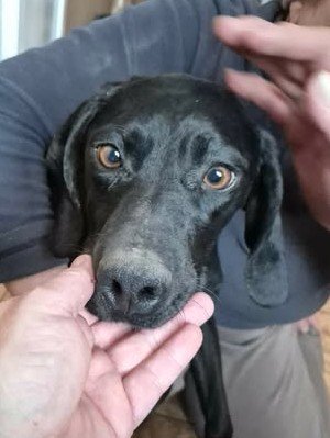 641320885 26065989163041664 6450712890961869263 n