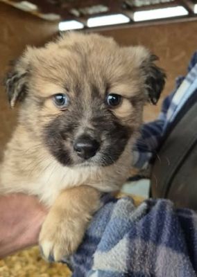 641406009 26064631483177432 5545074551205212615 n