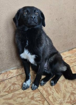 641417927 820165241106913 6513450902999695010 n