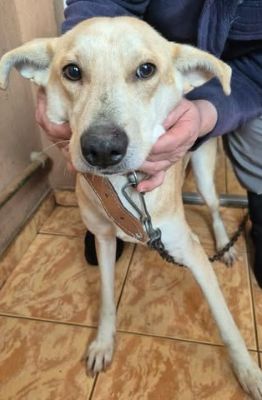 641428793 26065834376390476 749142149810912260 n