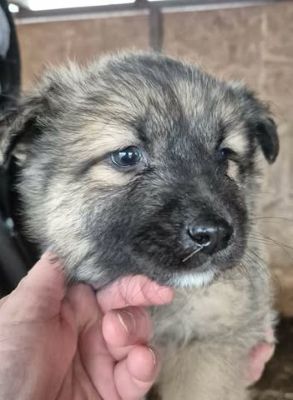 641440851 26064590719848175 4005099790945508217 n