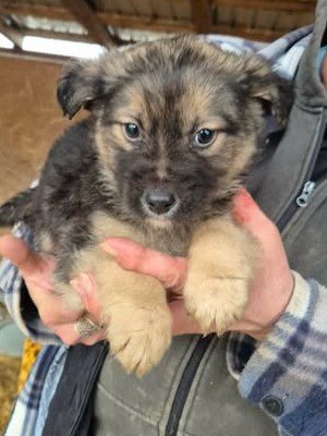 641479688 26064669816506932 1805951654892347315 n