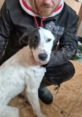 641558444 26073616665612247 8575091360765490962 n