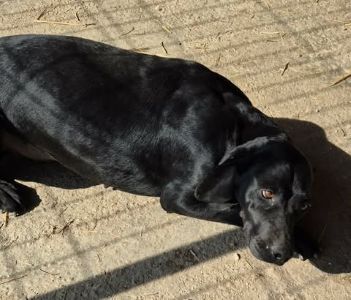 641839203 1231140462055041 797994437579986714 n