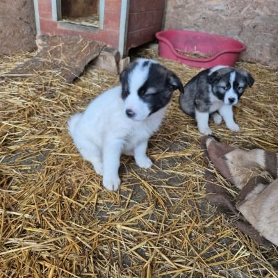 642527465 859350083817100 4860747637849057094 n