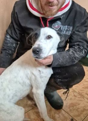 642701851 26073616655612248 6624025972845557085 n