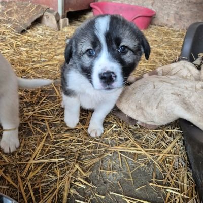 642732913 825076373949133 773730157401018213 n