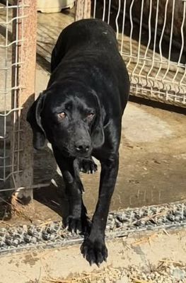 643306295 894888520116236 7247007199104197126 n