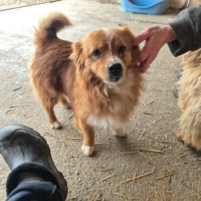 643313775 767006829546886 5904045171999121229 n