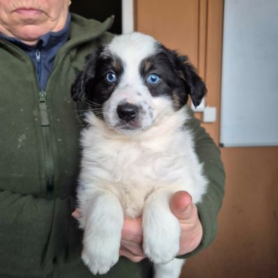 643364974 962392006214413 3865917608464284792 n