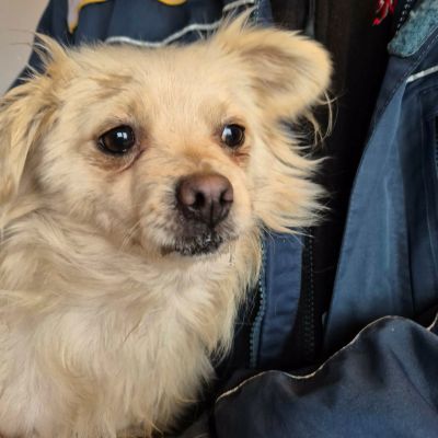 643731303 939346928531698 5165657406075466518 n